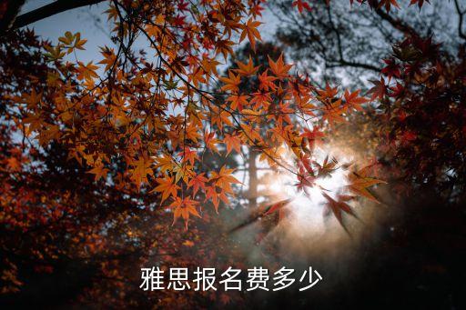 雅思报名费多少