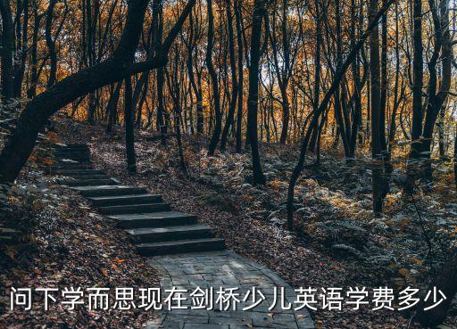 剑桥少儿英语学费多少，请问重庆剑桥少儿英语补习班多少钱一个月