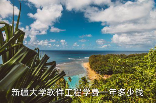 新疆大学软件工程学费一年多少钱