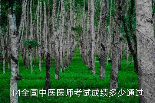 14全国中医医师考试成绩多少通过