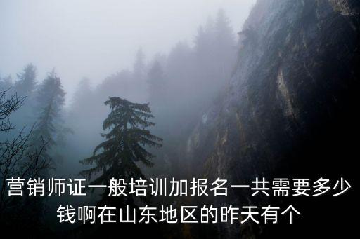 济南销售培训班多少钱，营销师证一般培训加报名一共需要多少钱啊在山东地区的昨天有个
