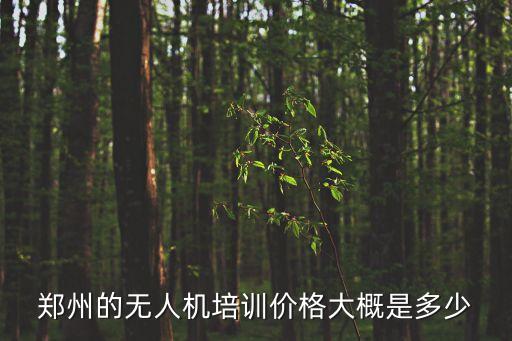 郑州的无人机培训价格大概是多少