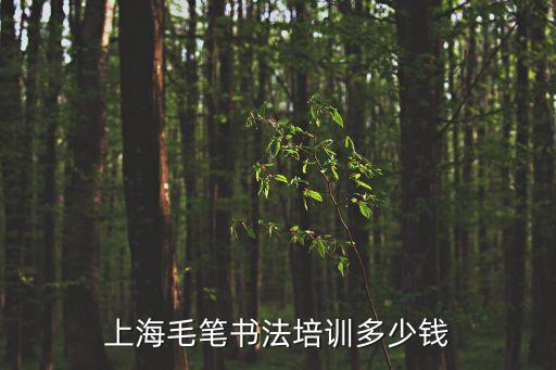 上海毛笔书法培训多少钱