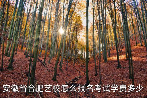 安徽省合肥艺校怎么报名考试学费多少