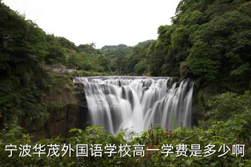 宁波华茂外国语学校高一学费是多少啊
