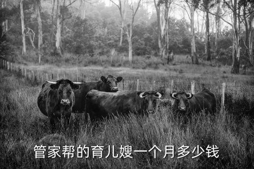 管家帮的育儿嫂一个月多少钱