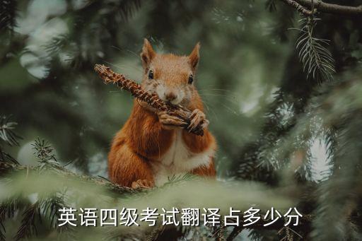 英语四级考试翻译占多少分
