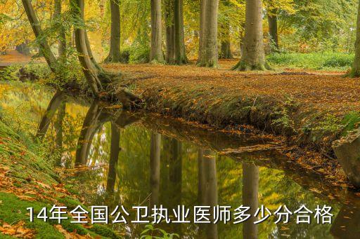 14年全国公卫执业医师多少分合格