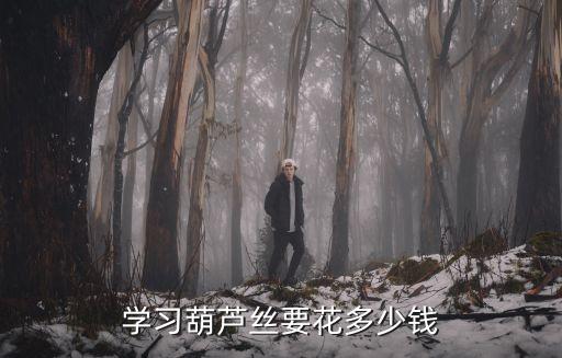 学习葫芦丝要花多少钱