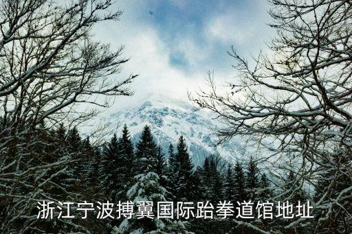 浙江宁波搏翼国际跆拳道馆地址