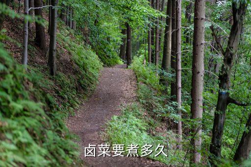 卤菜要煮多久