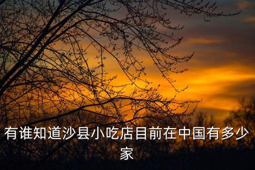 有谁知道沙县小吃店目前在中国有多少家