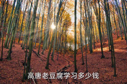 高唐老豆腐学习多少钱
