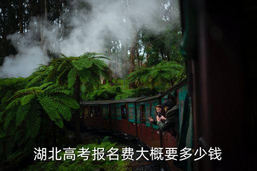 湖北高考报名费大概要多少钱