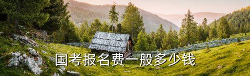 国考报名费一般多少钱