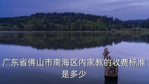 广东省佛山市南海区内家教的收费标准是多少