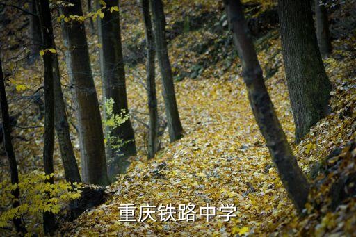 重庆铁中招生电话是多少，重庆铁路技校招生办的电话