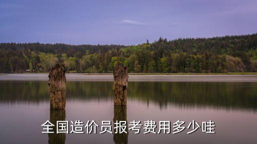 报考造价员证书要多少钱，全国造价员报考费用多少哇