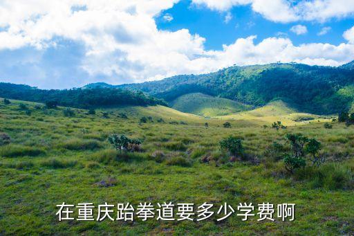 在重庆跆拳道要多少学费啊