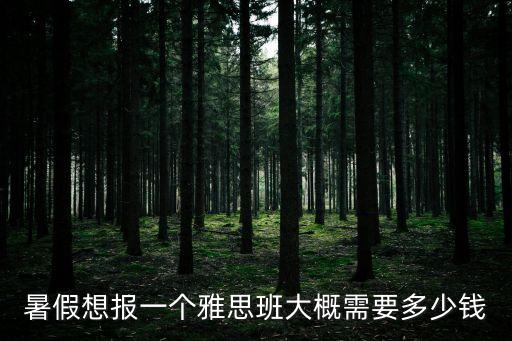 雅思暑假班多少，请问现在暑假班雅思辅导价格都是多少贵不贵呢