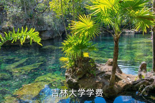 吉林大学学费