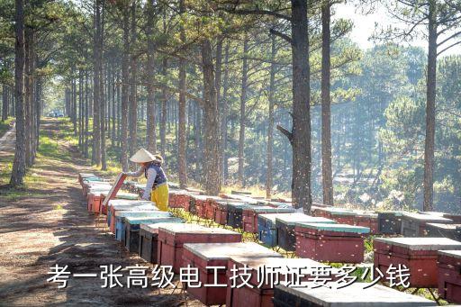 考一张高级电工技师证要多少钱