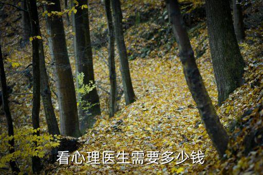 心理咨询的费用多少，医院心理咨询费用多少