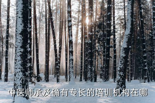 中医师承及确有专长的培训机构在哪