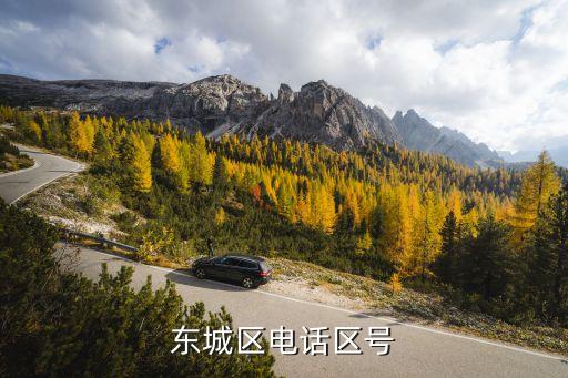 东莞东城招生办电话是多少，招生电话多少