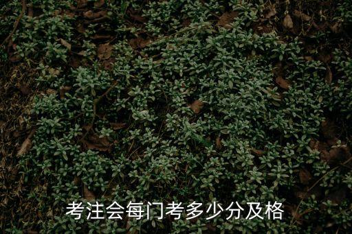 注会中会计要考多少分，考注会每门考多少分及格