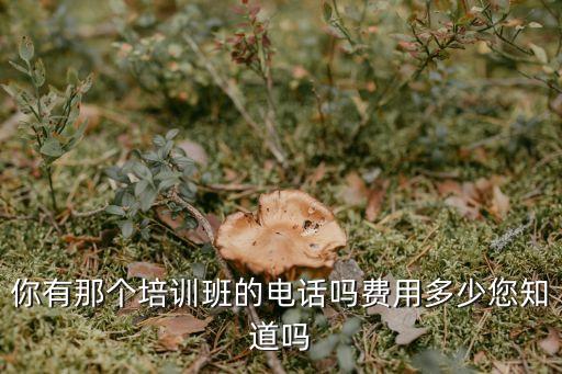 你有那个培训班的电话吗费用多少您知道吗
