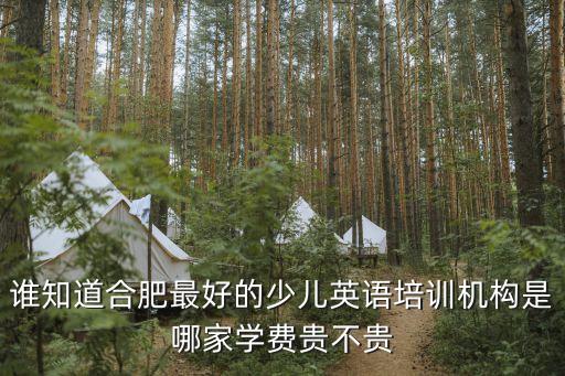 谁知道合肥最好的少儿英语培训机构是哪家学费贵不贵