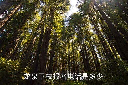 龙泉卫校报名电话是多少