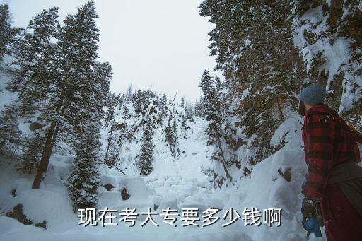 现在考大专要多少钱啊