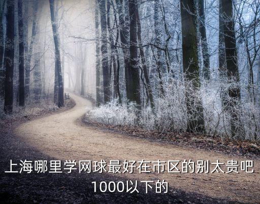 上海哪里学网球最好在市区的别太贵吧1000以下的