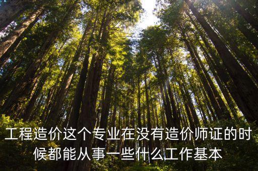 工程造价这个专业在没有造价师证的时候都能从事一些什么工作基本