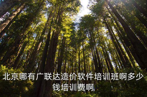 广联达陪训要多少钱，广联达现在多少钱