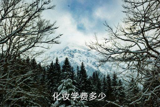 化妆学费多少