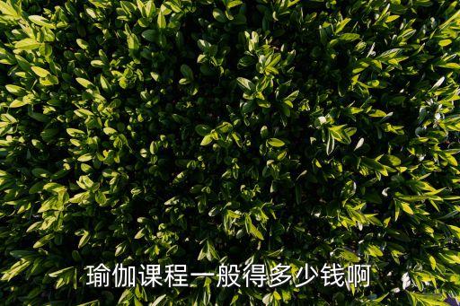 瑜伽课程一般得多少钱啊
