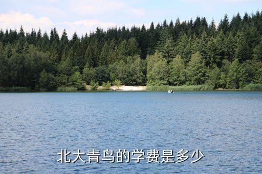 北大青鸟的学费是多少