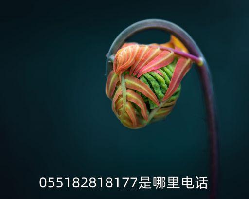 055182818177是哪里电话