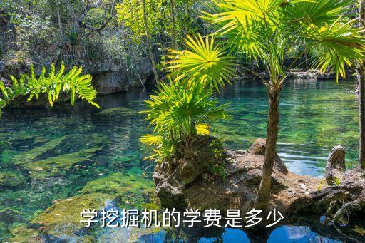 学挖掘机的学费是多少