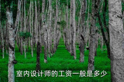室内设计师工资一般多少，室内设计师月薪一般是多少