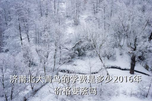 济南北大青鸟学费多少，济南北大青鸟的学费是多少2016年价格要涨吗