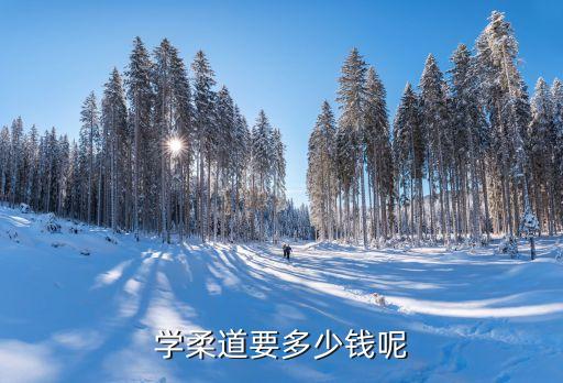 学柔道要多少钱呢