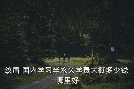 纹眉 国内学习半永久学费大概多少钱 哪里好