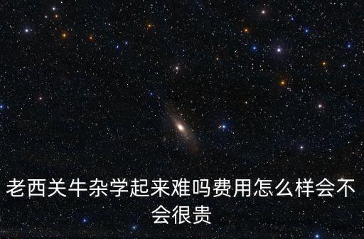 老西关牛杂学起来难吗费用怎么样会不会很贵