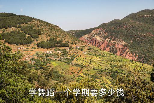 高邮舞蹈班多少钱，学舞蹈一个学期要多少钱