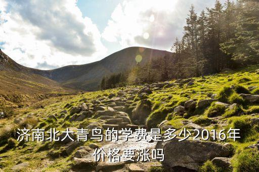 济南北大青鸟的学费是多少2016年价格要涨吗