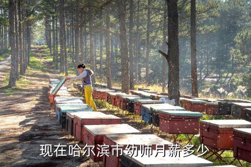 现在哈尔滨市幼师月薪多少